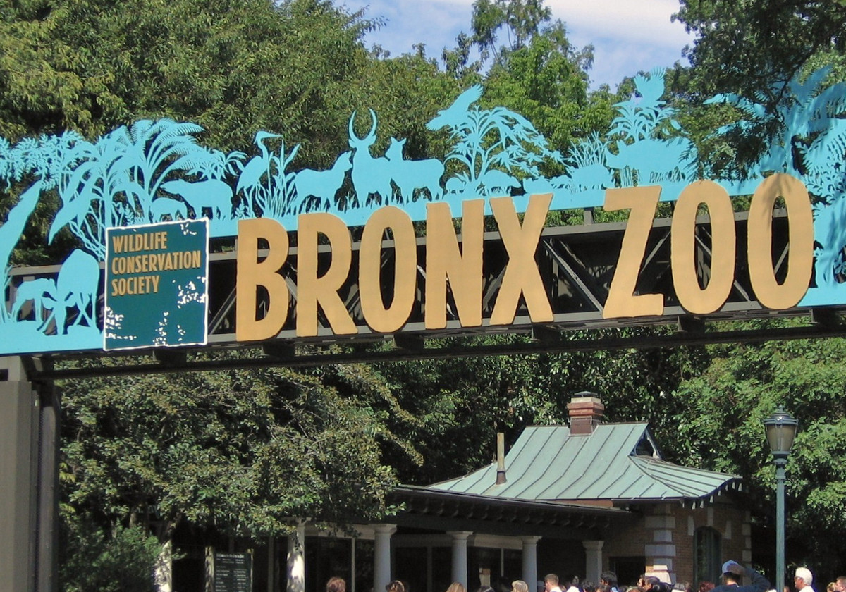 bronxzoo.jpeg