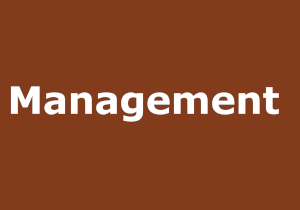 Management