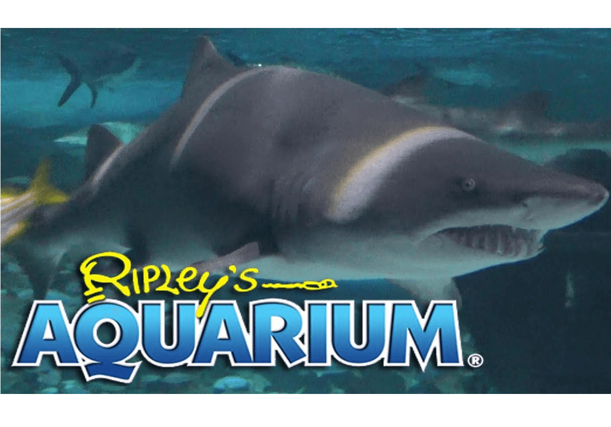 ripleysaquarium